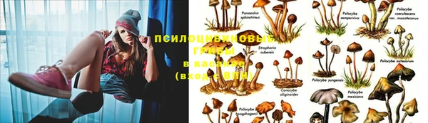 спайс Балахна